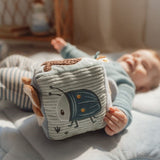 Cubo blandito de actividades Forest Friends