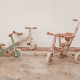 Triciclo evolutivo rosa flores