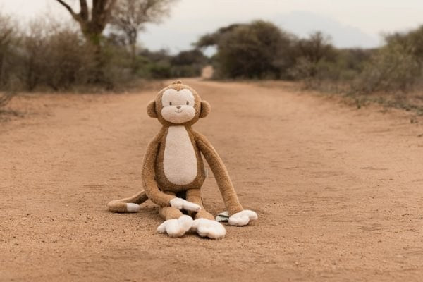 Safari