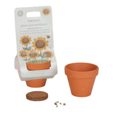 Maceta planta girasol