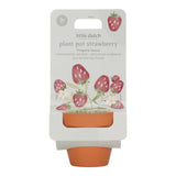 Maceta planta fresas