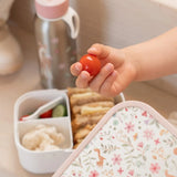 Caja de almuerzo Fairy Wonders