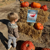 Chaqueta punto bellota